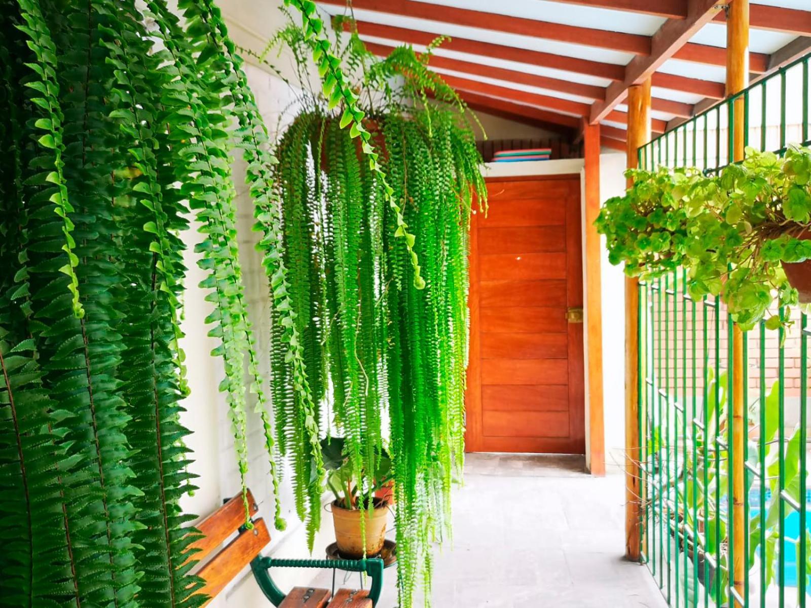 Apartamento Casa Amarello Lima Exterior foto